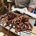 杦的實拍圖