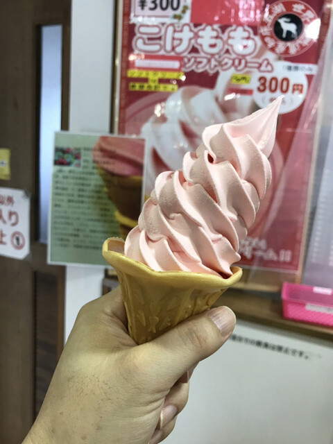 知床五湖レストハウス的實拍高清圖