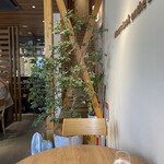 recommendations for paraiso