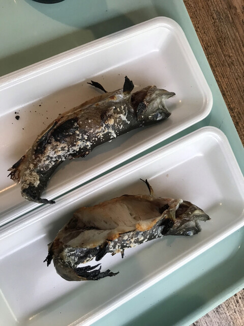 辻野養魚場的實拍高清圖