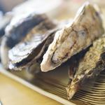 田吾作的实拍图