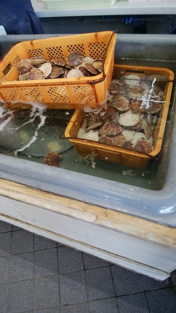 湧鮮館的实拍高清图