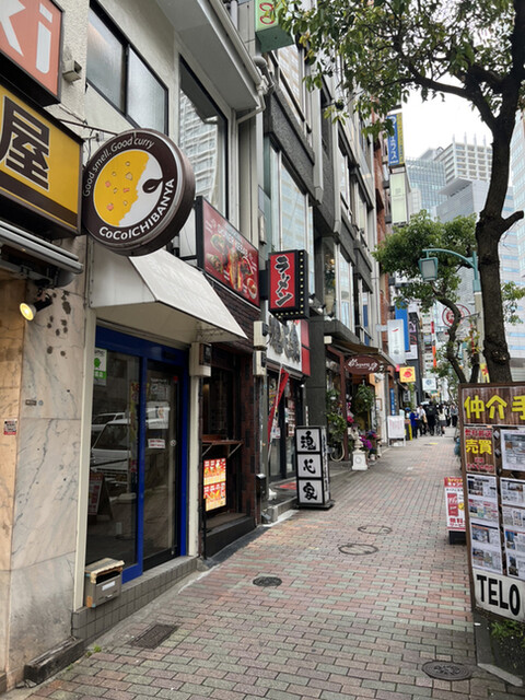 アントチア的實拍高清圖