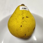 岡村果樹園的实拍图