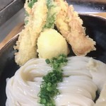 麦衛門的實拍圖