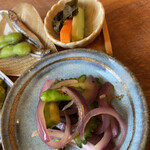 recommendations for CACHE CACHE