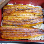 recommendations for 鰻 才谷や 八尾店