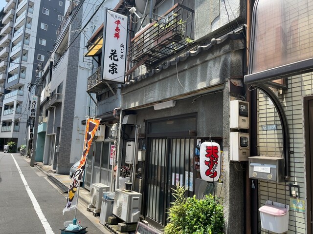 花家的實拍高清圖