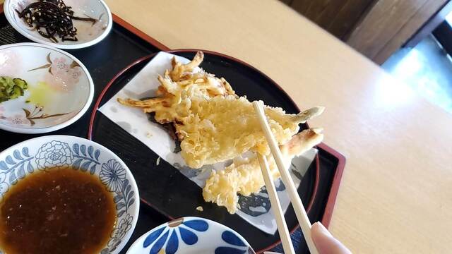天松的實拍高清圖