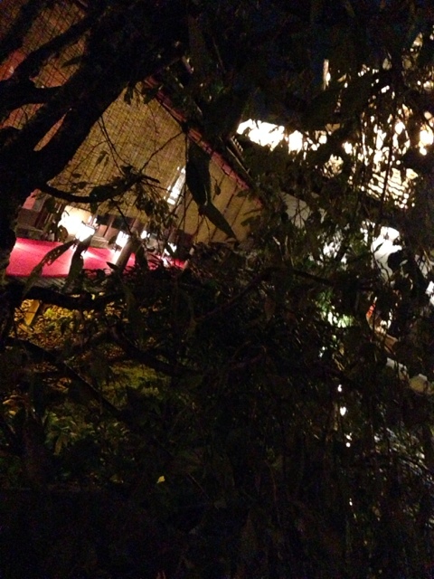 閑臥庵的實拍圖