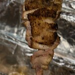 recommendations for ぼんち焼鳥