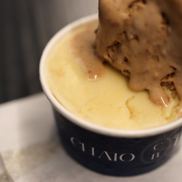 GELATO BRAVO的實拍高清圖