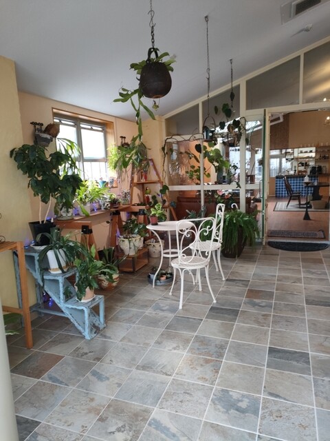 hatoba cafe的實拍高清圖
