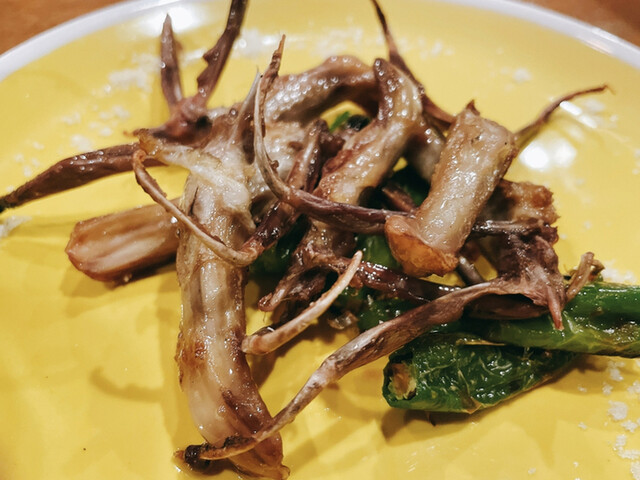 AnaTra的實拍高清圖