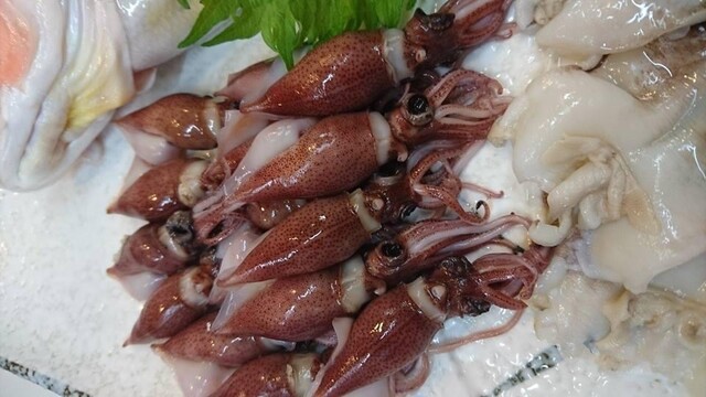 彦ずし的實拍高清圖