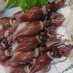 彦ずし的實拍圖