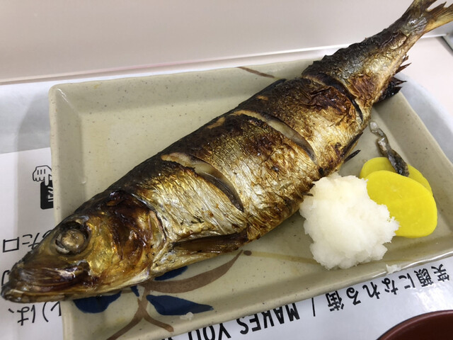 札幌市役所本庁舎食堂的实拍高清图