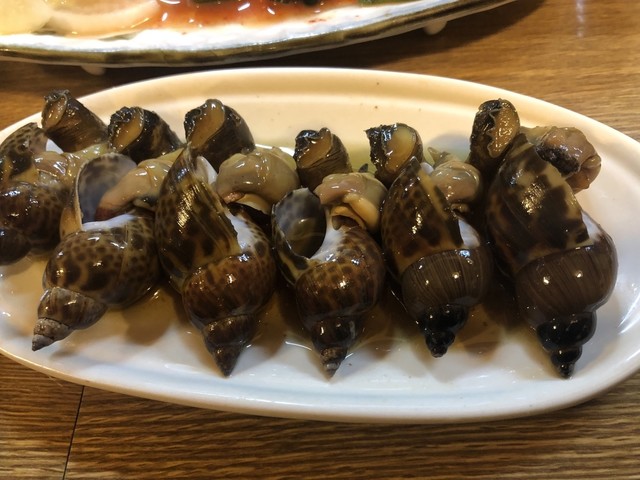 寅のや的实拍高清图