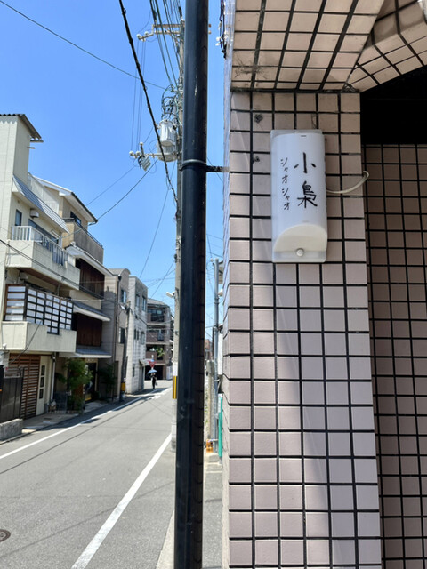 小梟的实拍高清图