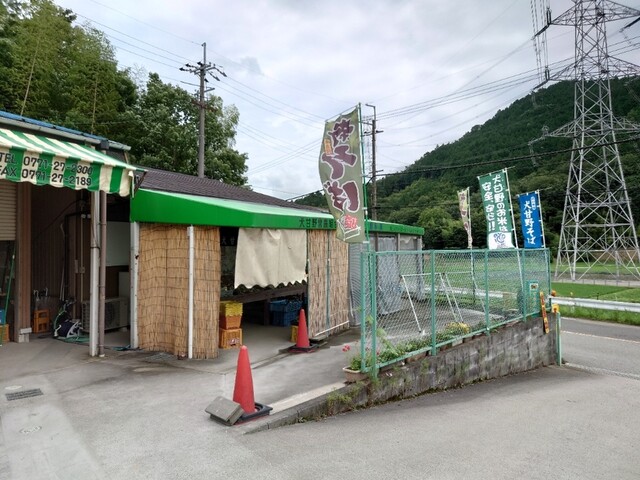 季楽的实拍高清图