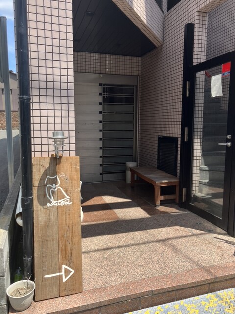 小梟的实拍高清图