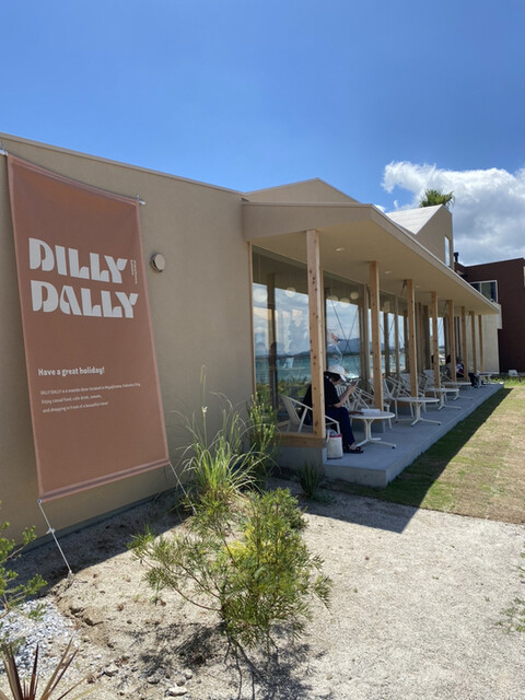 recommendations image for DILLY DALLY