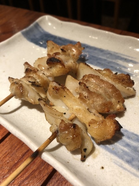 鶏鷹的實拍高清圖