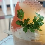 ル・アーヴル的实拍图