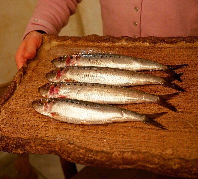 recommendations image for ボニュ