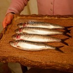 recommendations for ボニュ