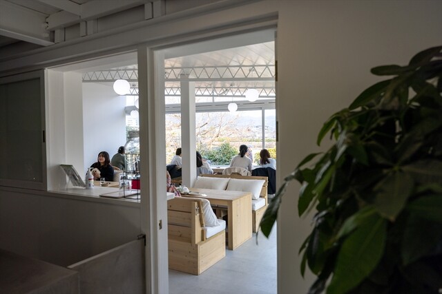 cafe planet的实拍高清图