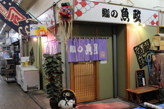 鮨の魚政的实拍高清图