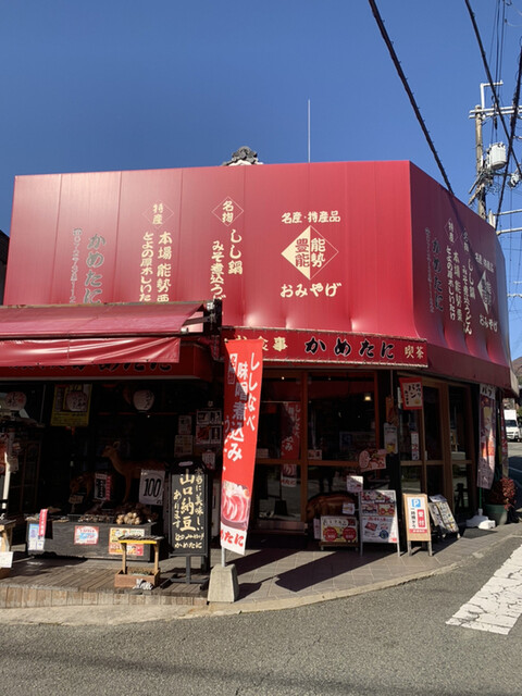かめたに的實拍高清圖