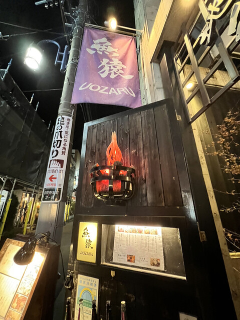 魚猿的实拍高清图