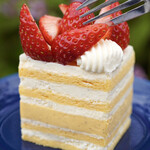 recommendations for RIVA chocolatier