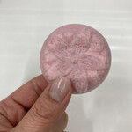 recommendations for 銀座あけぼの