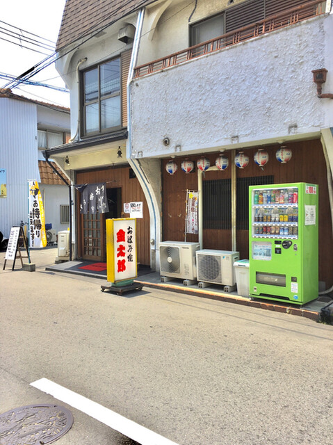 金太郎的实拍高清图