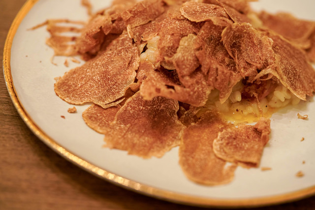 recommendations image for ボニュ