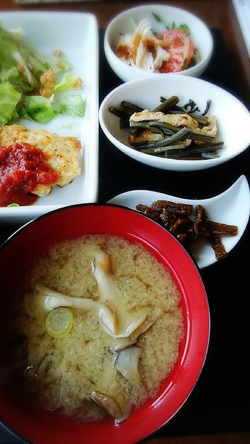 recommendations image for soyo