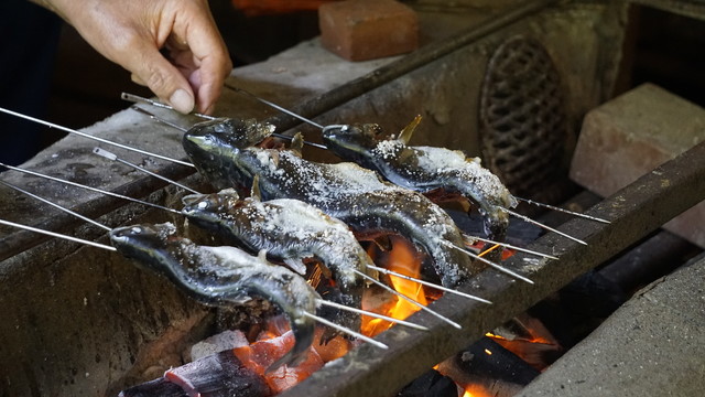 辻野養魚場的實拍高清圖