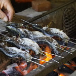 辻野養魚場的實拍圖
