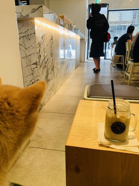 recommendations image for STREAMER COFFEE COMPANY AKASAKA