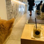 recommendations for STREAMER COFFEE COMPANY AKASAKA