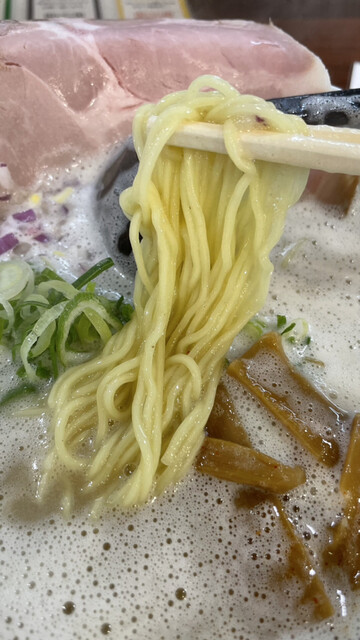 白湯麺専門店 丸福ラーメン 守口店的实拍高清图
