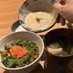 recommendations for 自然薯 tororo