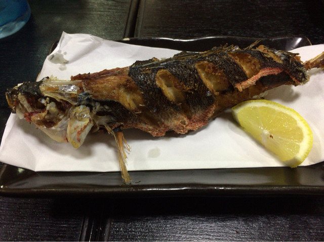 居酒屋ゆがふう的實拍高清圖