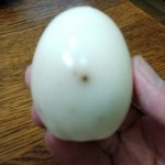 笹川的实拍图