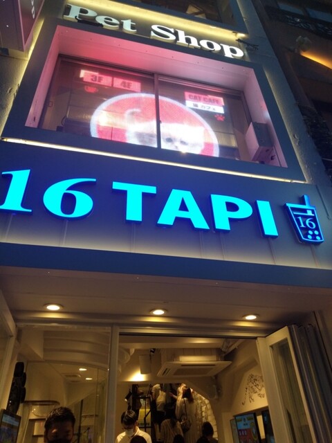 16 TAPI的實拍高清圖