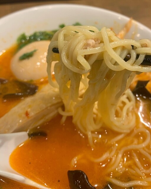鶏白湯ラーメン 鳥ぶし的實拍高清圖