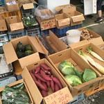 原田のこだわり卵 山﨑幹男養鶏場的實拍圖